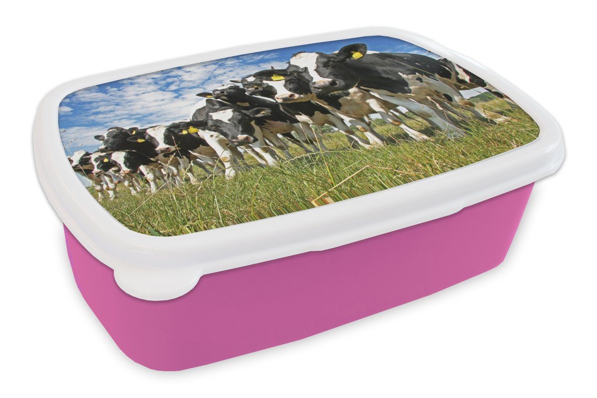 Tiere, Kunststoff Snackbox, - Kunststoff, rosa Kinder, - Brotdose - Kühe Gras MuchoWow Lunchbox Erwachsene, für Wiese Brotbox (2-tlg), Mädchen,