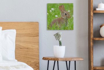 OneMillionCanvasses® Leinwandbild Kaninchen - Blumen - Gras, (1 St), Leinwand Bilder für Wohnzimmer Schlafzimmer