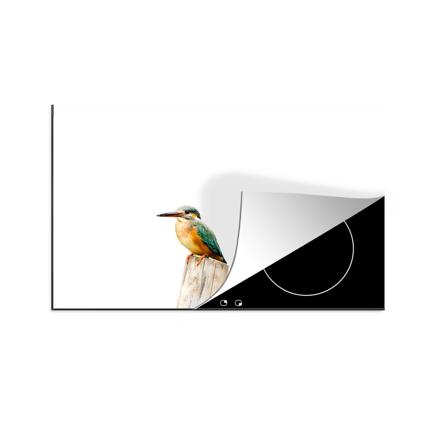 MuchoWow Herdblende-/Abdeckplatte Eisvogel - Federn - Pfahl, Vinyl, (1 tlg), 81x52 cm, Induktionskochfeld Schutz für die küche, Ceranfeldabdeckung