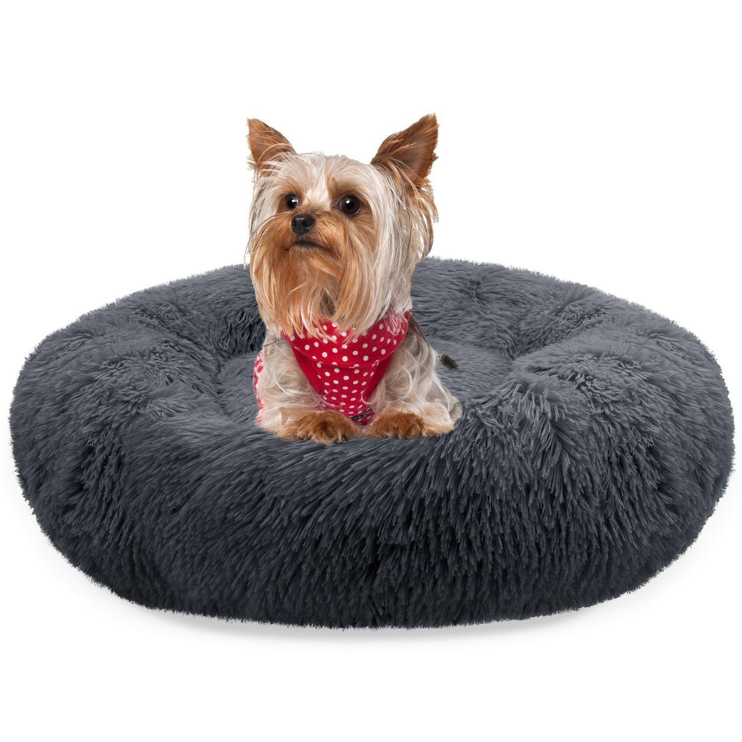 Bluzelle Tierbett Premium Hundebett Hundekissen Donut / Katzenbett Katzenki günstig online kaufen