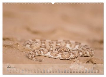 CALVENDO Wandkalender Die Wüste lebt! - Der LIVING DESERT Kalender 2023 (Premium, hochwertiger DIN A2 Wandkalender 2023, Kunstdruck in Hochglanz)