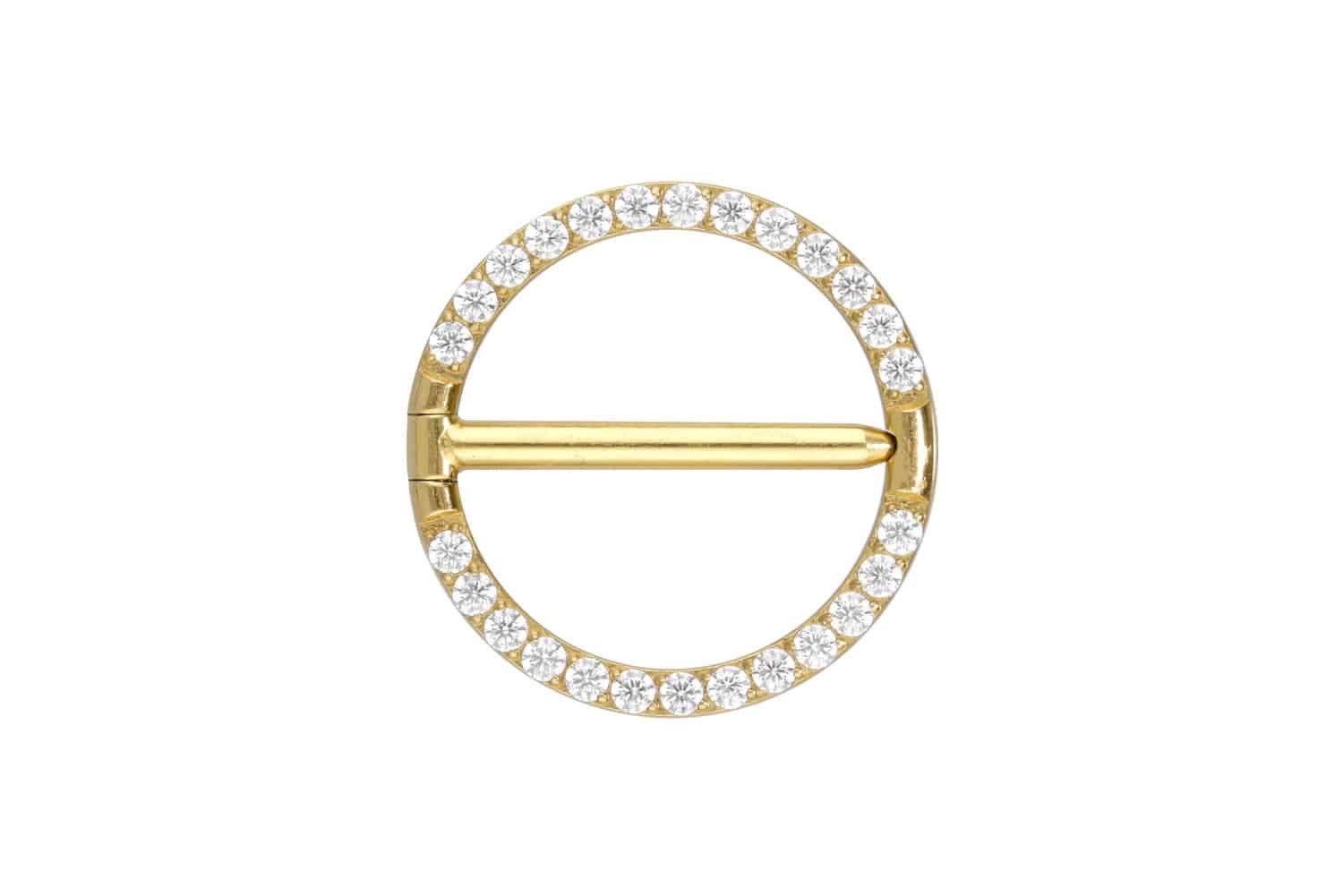 PIERCINGLINE Nasenpiercing Titan Nippelpiericing Clicker RING günstig online kaufen