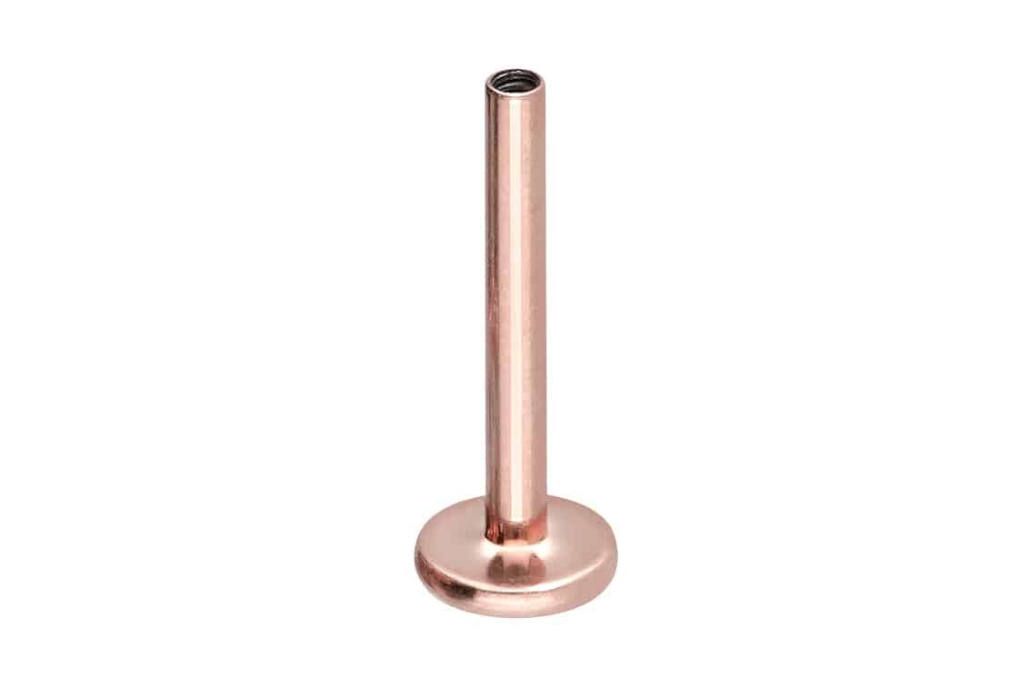 PIERCINGLINE Piercing-Set Titan Labret mit Innengewinde günstig online kaufen