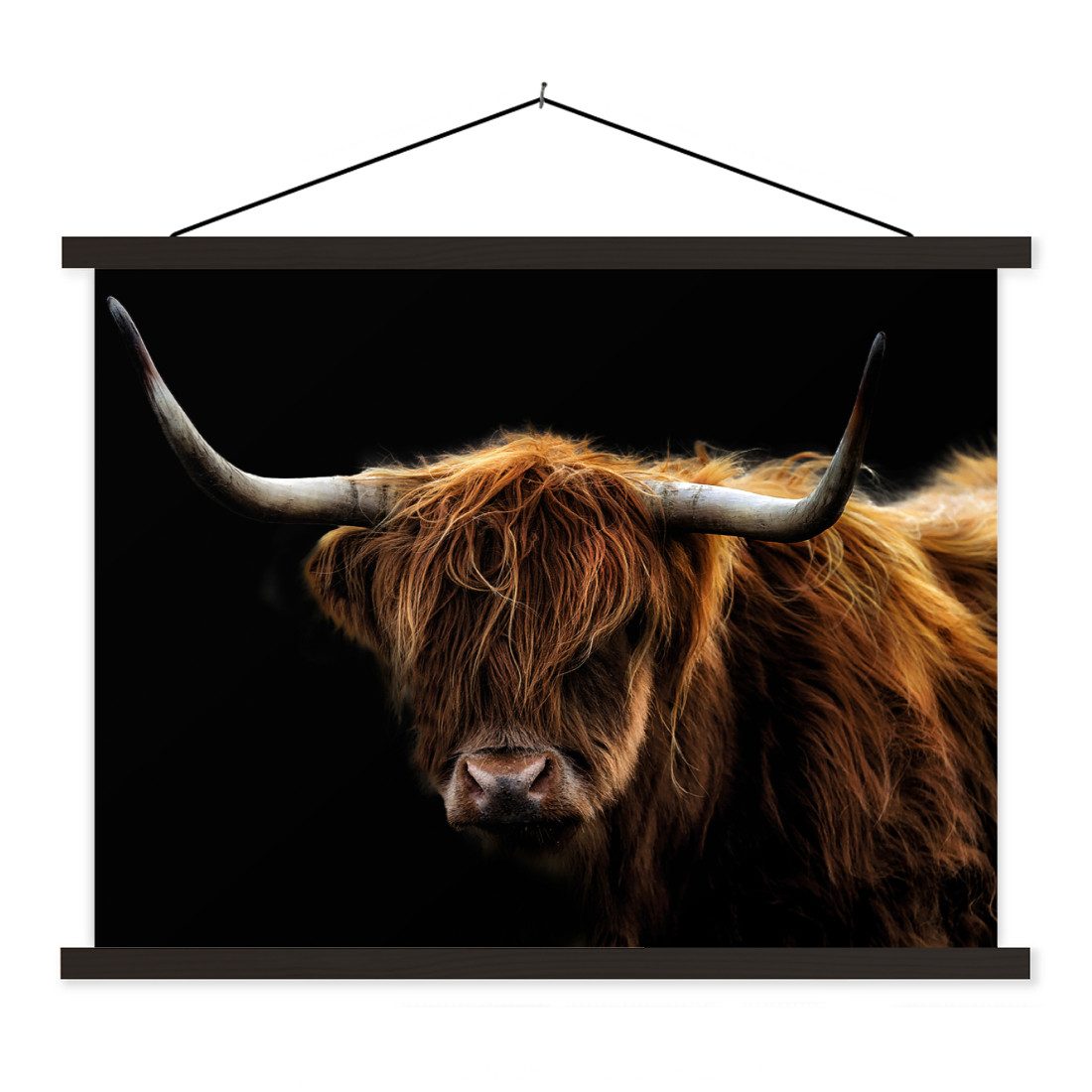 Poster Schottischer Highlander - Hörner - Schwarz - Tiere - Natur - Wild - Ku
