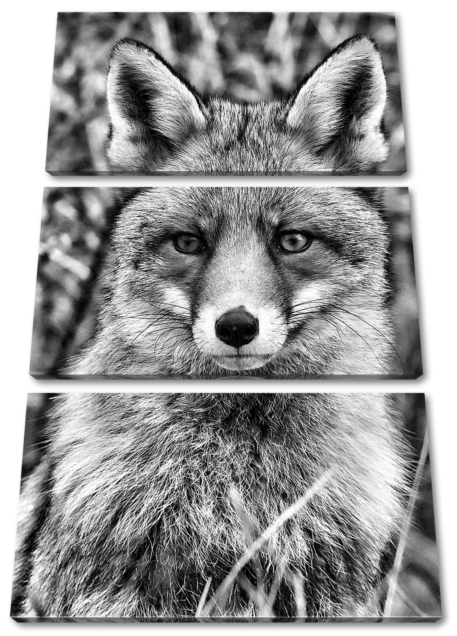 Pixxprint Leinwandbild aufmerksamer Fuchs im Geäst, aufmerksamer Fuchs im Geäst 3Teiler (120x80cm) (1 St), Leinwandbild fertig bespannt, inkl. Zackenaufhänger