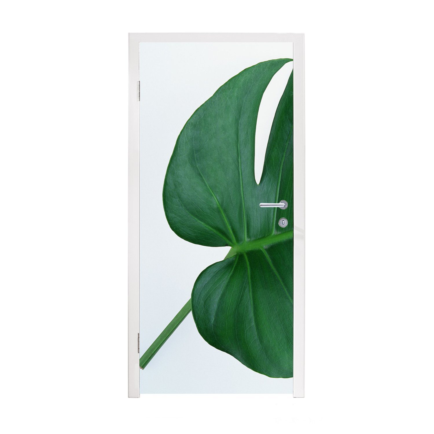 MuchoWow Türtapete Botanische Lochpflanze auf einem hellgrauen Hintergrund, Matt, bedruckt, (1 St), Fototapete für Tür, Türaufkleber, 75x205 cm
