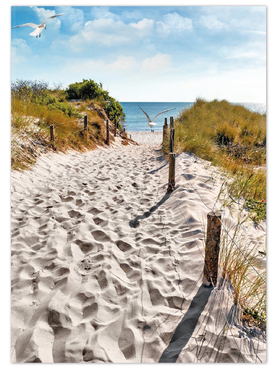 Wallario Teppich Möwen auf dem Weg zum Strand, rechteckig, rutschfest