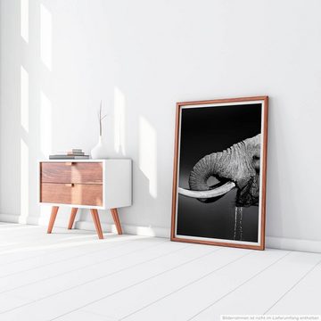 Sinus Art Poster Tierfotografie  Trinkender Elefant schwarz weiß 60x90cm Poster
