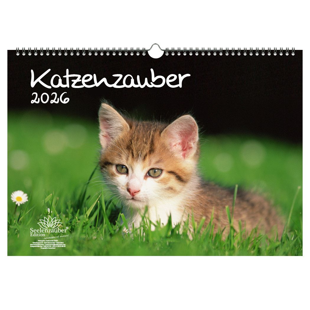 Seelenzauber Wandkalender Katzenzauber DIN A3 Kalender für 2026 KatzenKatzenbabys - Seelenzauber