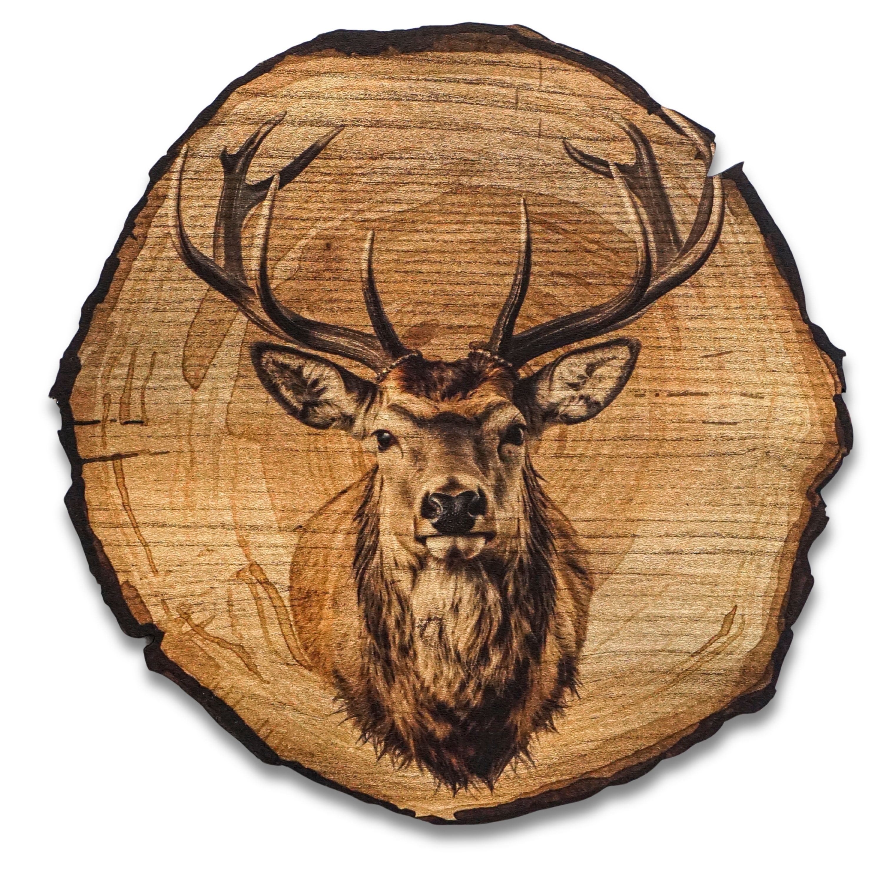 DARO Design Leinwandbild Modern Abstrakt Wandbilder XXL Wandbild Wand Deko Leinwand Bilder, (Hirschkopf - Bild groß Wohnzimmer Schlafzimmer Küche Esszimmer Einteilig Rund Fotodruck Leinwände Wanddeko Abstrakte Kunst Boho), Ø20cm