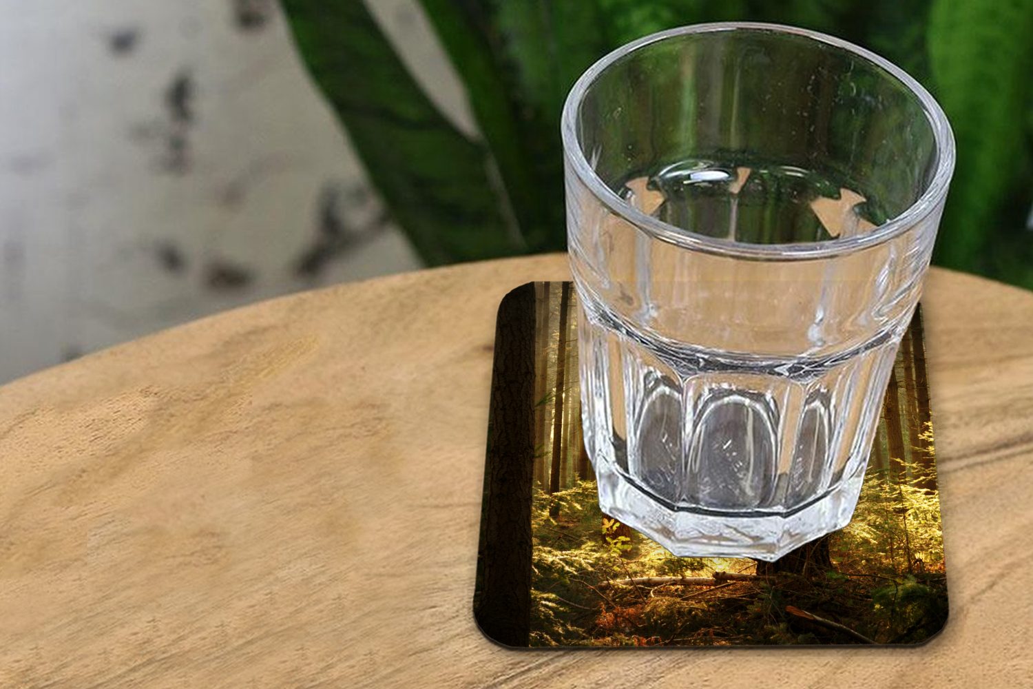 MuchoWow Glasuntersetzer - Gläser, Glasuntersetzer, für Untersetzer, 6-tlg., Tischuntersetzer, Sonne, Tasse Zubehör Wald - Bäume Korkuntersetzer