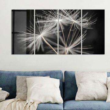 DEQORI Glasbild 'Samen der Pusteblume', 'Samen der Pusteblume', Glas Wandbild Bild schwebend modern