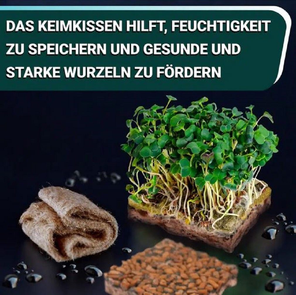 Kräutertopf Soil OraGarden (6 div. Superfood Kräuter-Saatpads MicroGreens Stück) Sorten -