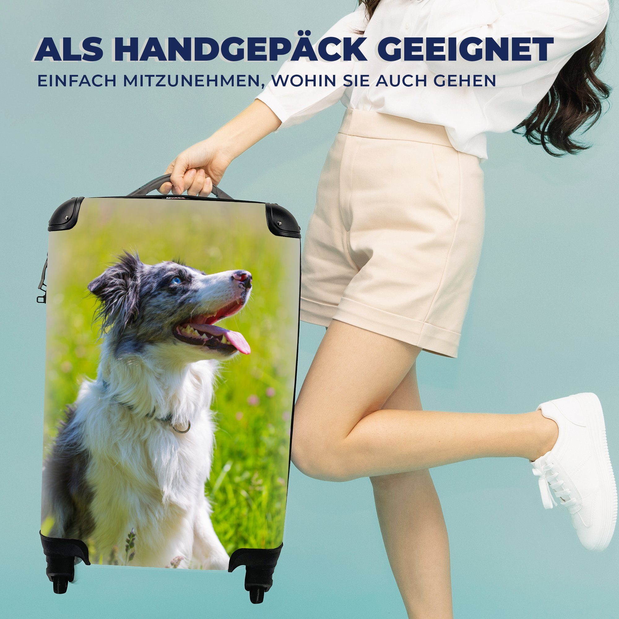 Reisekoffer Reisetasche Border Ferien, 4 Rollen, Handgepäckkoffer MuchoWow mit rollen, für aufmerksamer Ein Handgepäck Collie, Trolley,