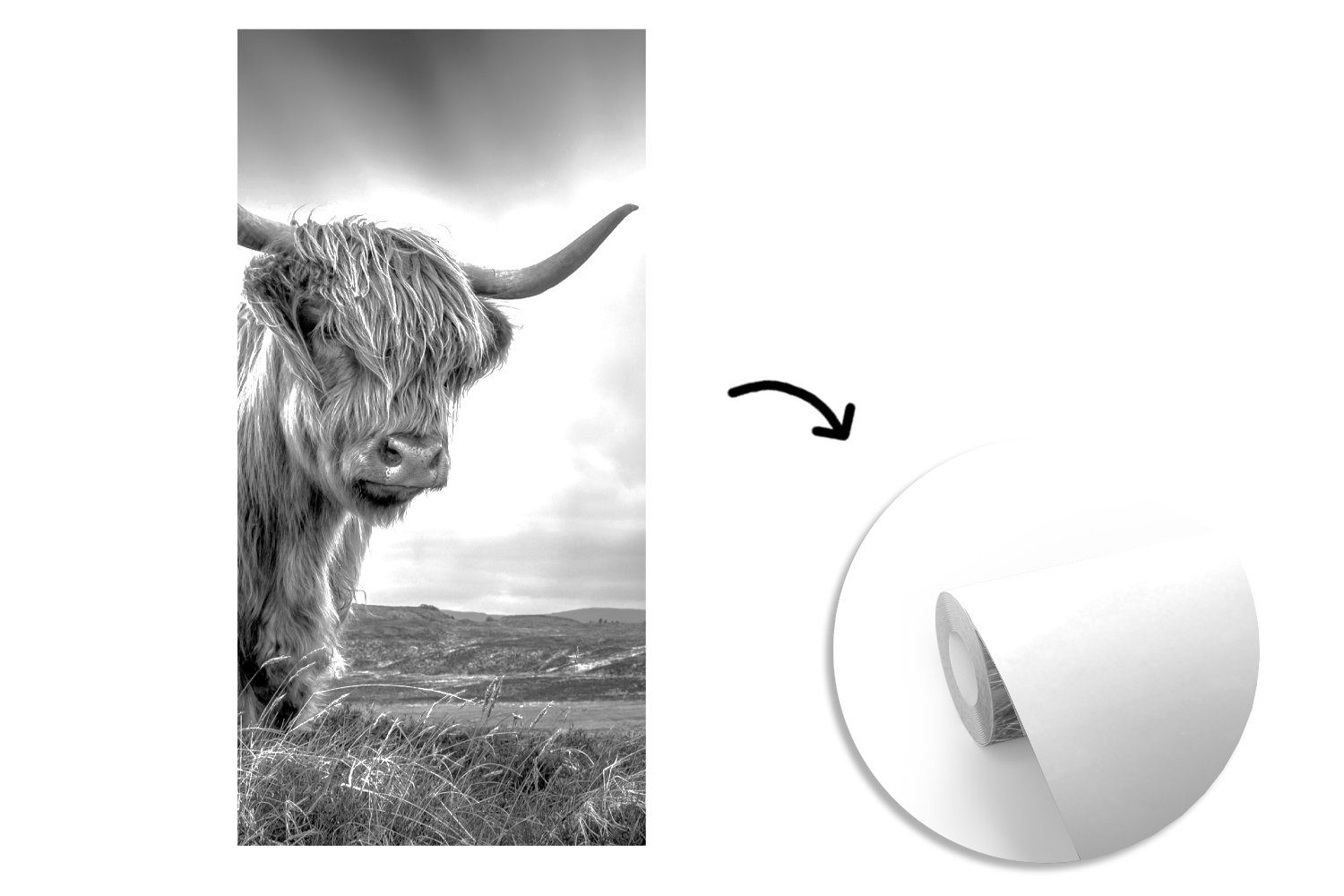 MuchoWow Fototapete Kühe - - Tiere bedruckt, Fototapete weiß, Schottische Matt, - Schlafzimmer Vliestapete Schwarz (2 Küche, - für Natur Hochlandkühe und Wohnzimmer St)