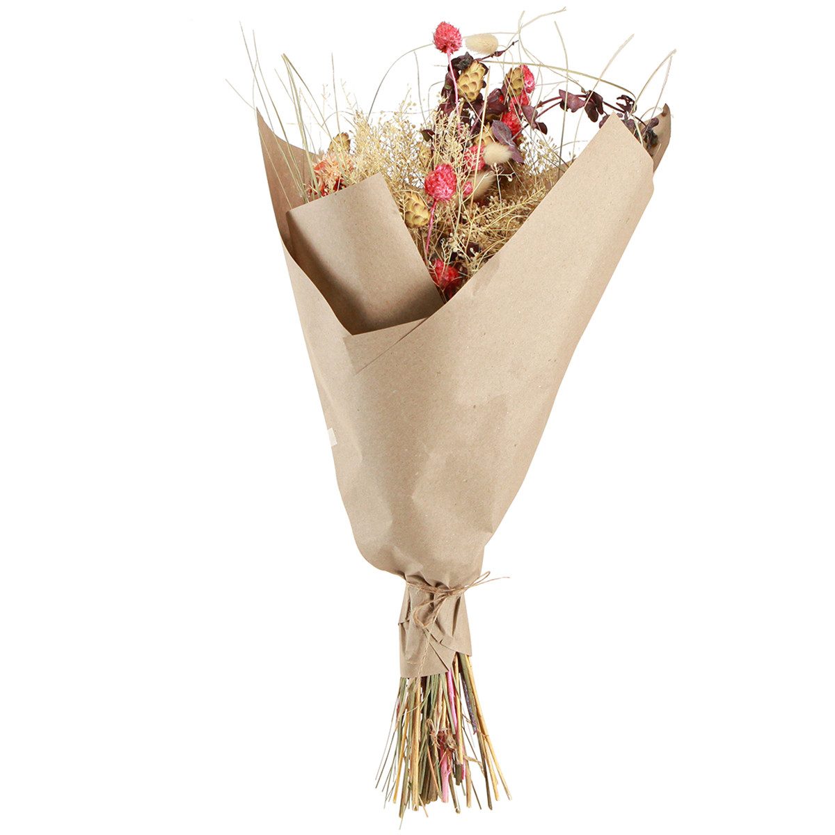 Trockenblume Trockenblumenstrauß Boho-Deko Erdbeerdistel & Flockenblume in, Viana, Höhe 50 cm – Bild 3 von 4