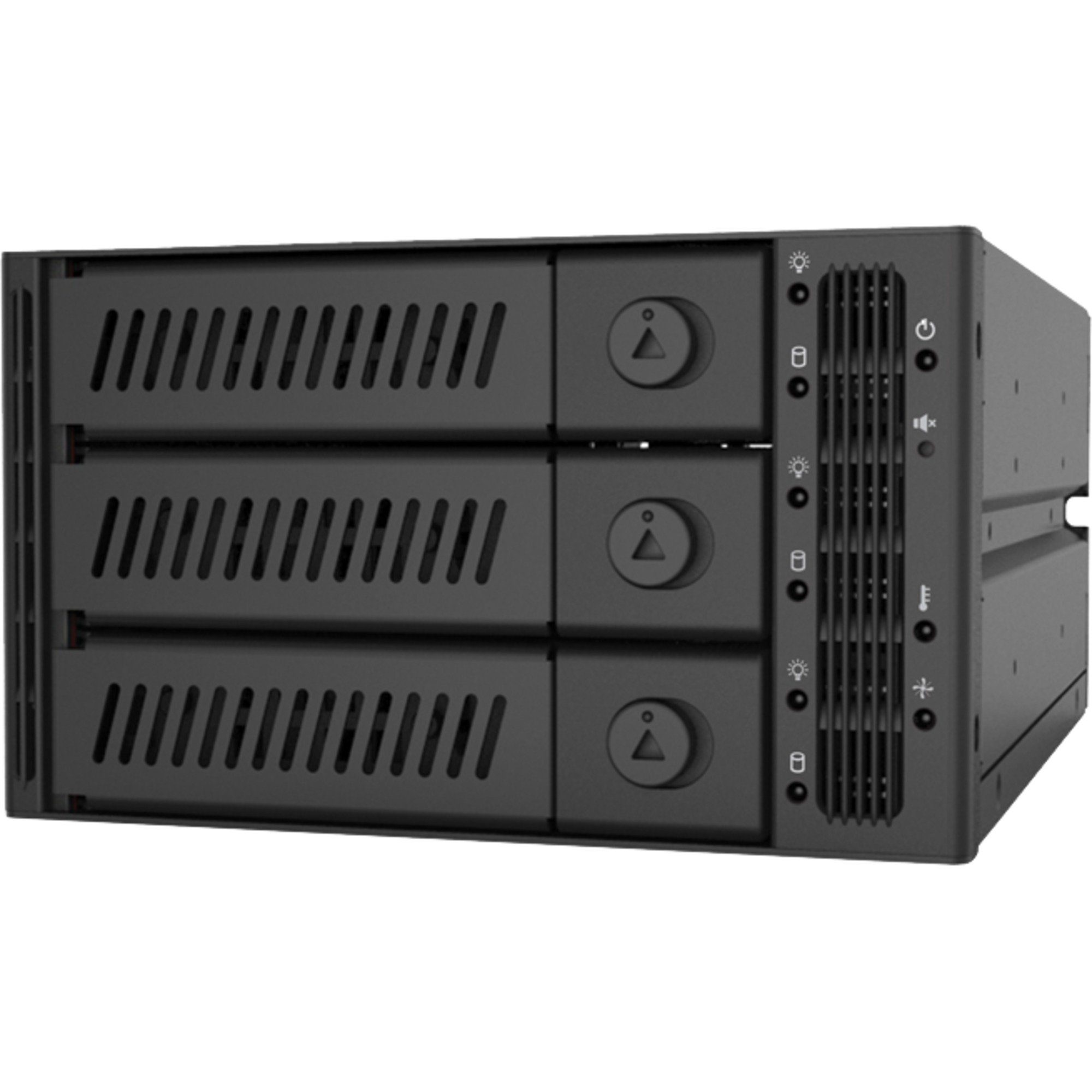 Festplatten-Gehäuse Chieftec CMR-2131SAS, Einbaurahmen
