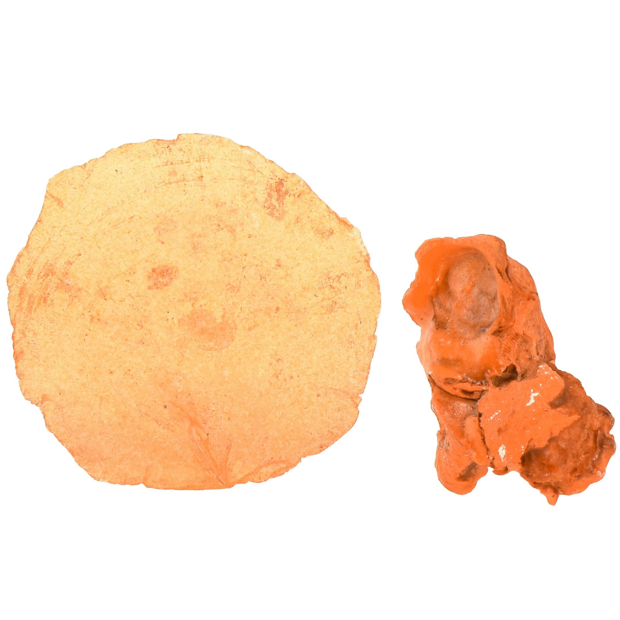 Thumbnail - Viana Bastelnaturmaterial Austern Muscheln Capizscheiben Orange Deko Set 3,5-9,5cm Tischdeko