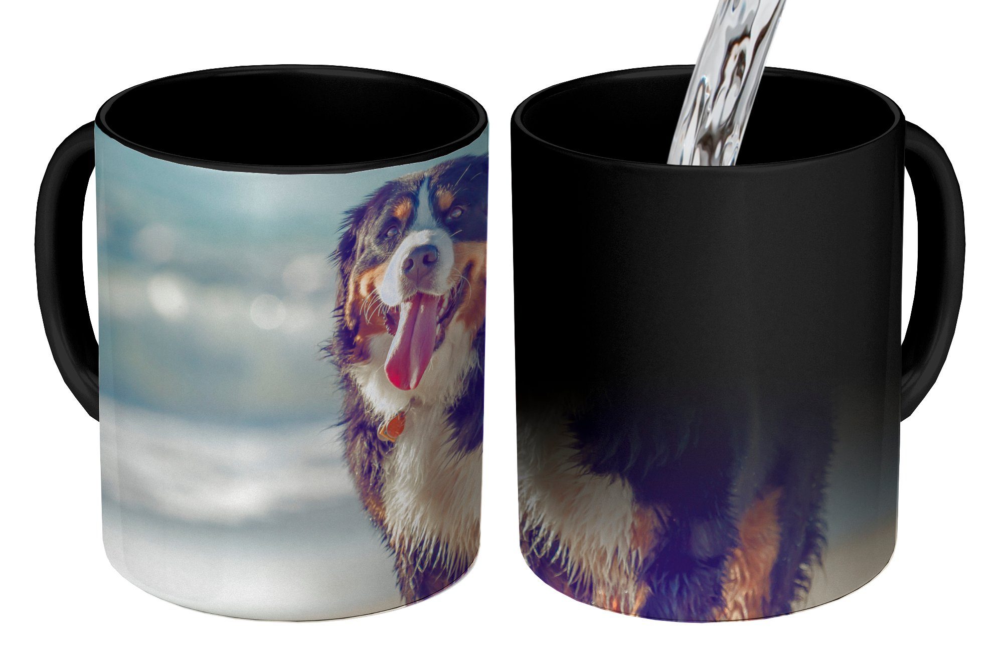 MuchoWow Tasse Ein Berner Sennenhund beim Spaziergang am Strand, Keramik, Farbwechsel, Kaffeetassen, Teetasse, Zaubertasse, Geschenk