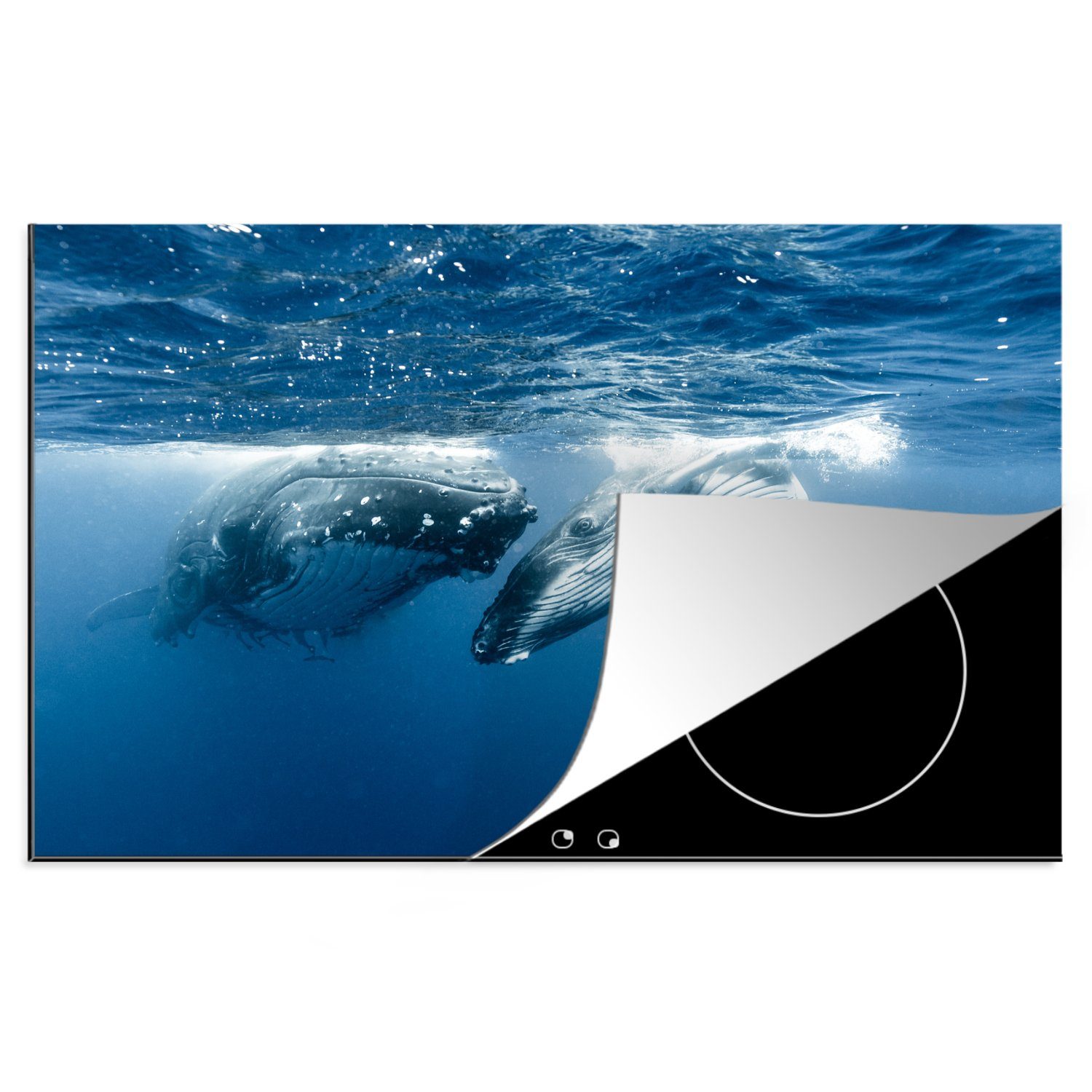 Seite, cm, Schutz (1 küche, Seite 81x52 Vinyl, an Induktionskochfeld Ceranfeldabdeckung tlg), schwimmen Zwei die Herdblende-/Abdeckplatte MuchoWow für Buckelwale