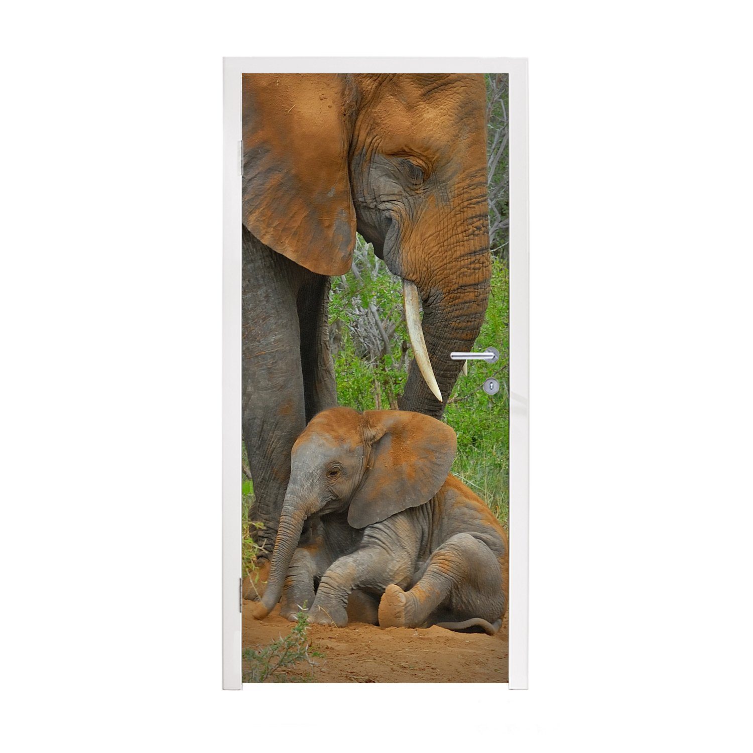 MuchoWow Türtapete Elefant - Tiere - Sand - Natur, Matt, bedruckt, (1 St), Fototapete für Tür, Türaufkleber, 75x205 cm
