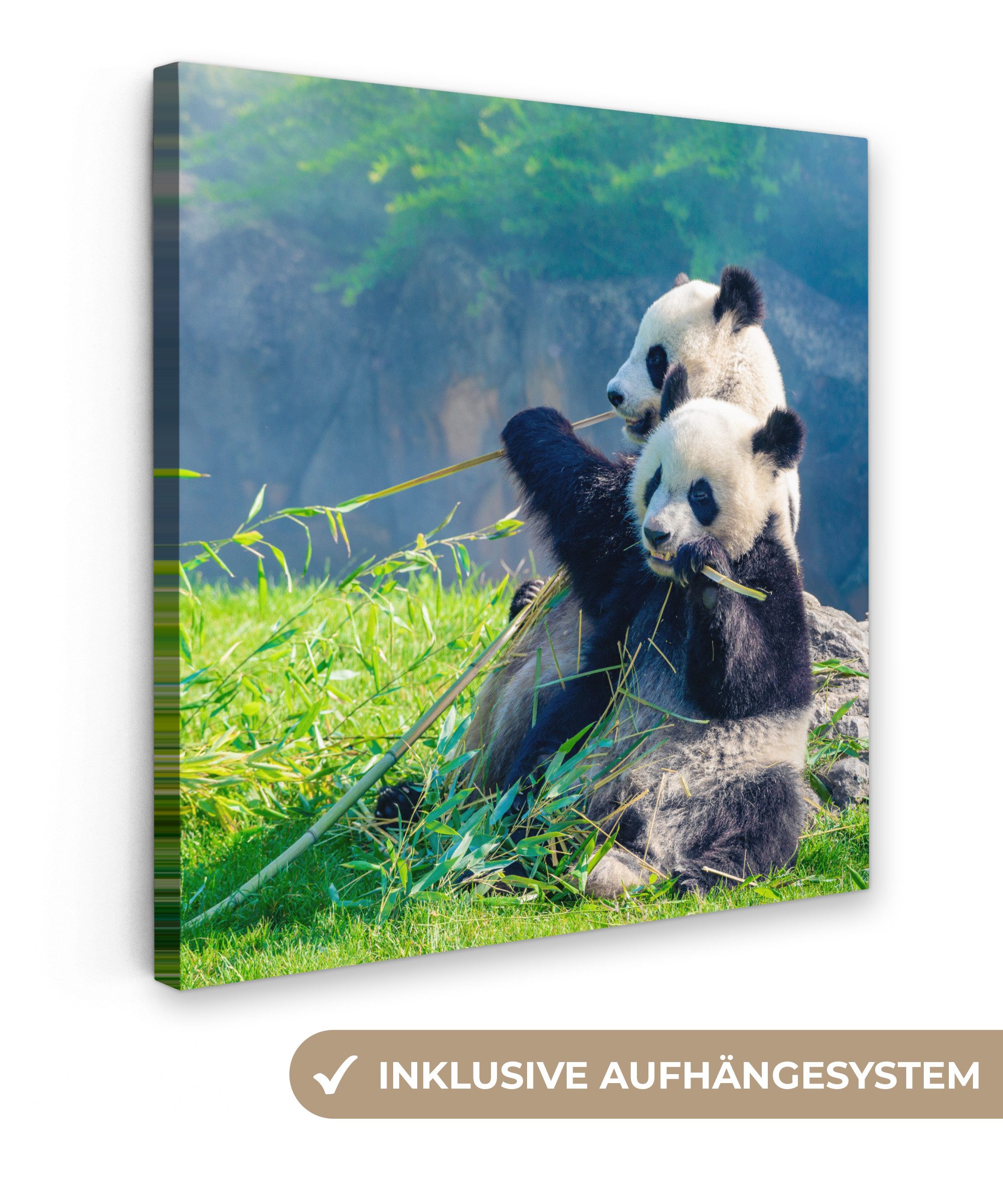 OneMillionCanvasses® Leinwandbild Panda - Bambus - günstig online kaufen