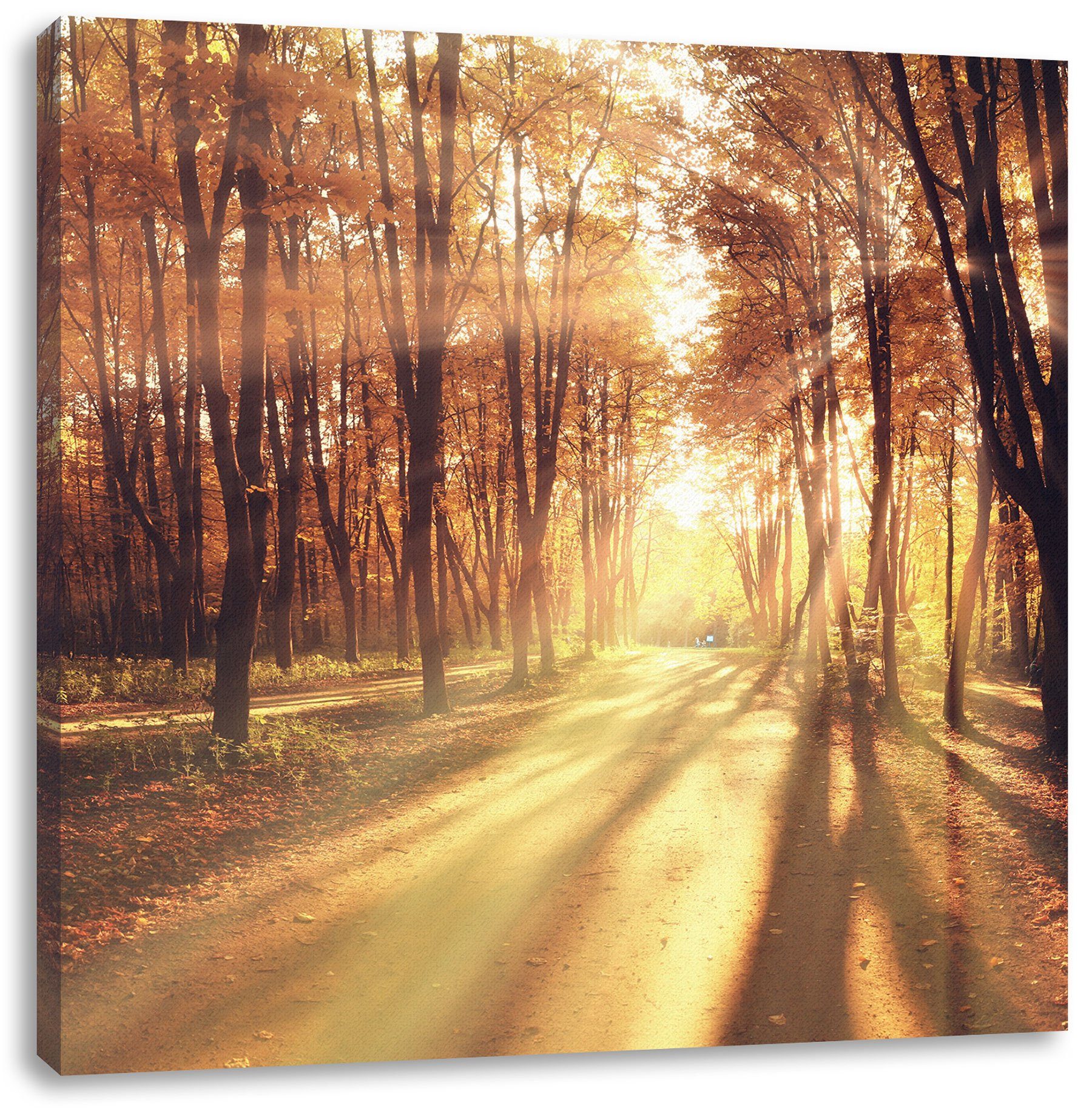 Pixxprint Leinwandbild Baumallee im Herbst, Baumallee im Herbst (1 St), Leinwandbild fertig bespannt, inkl. Zackenaufhänger