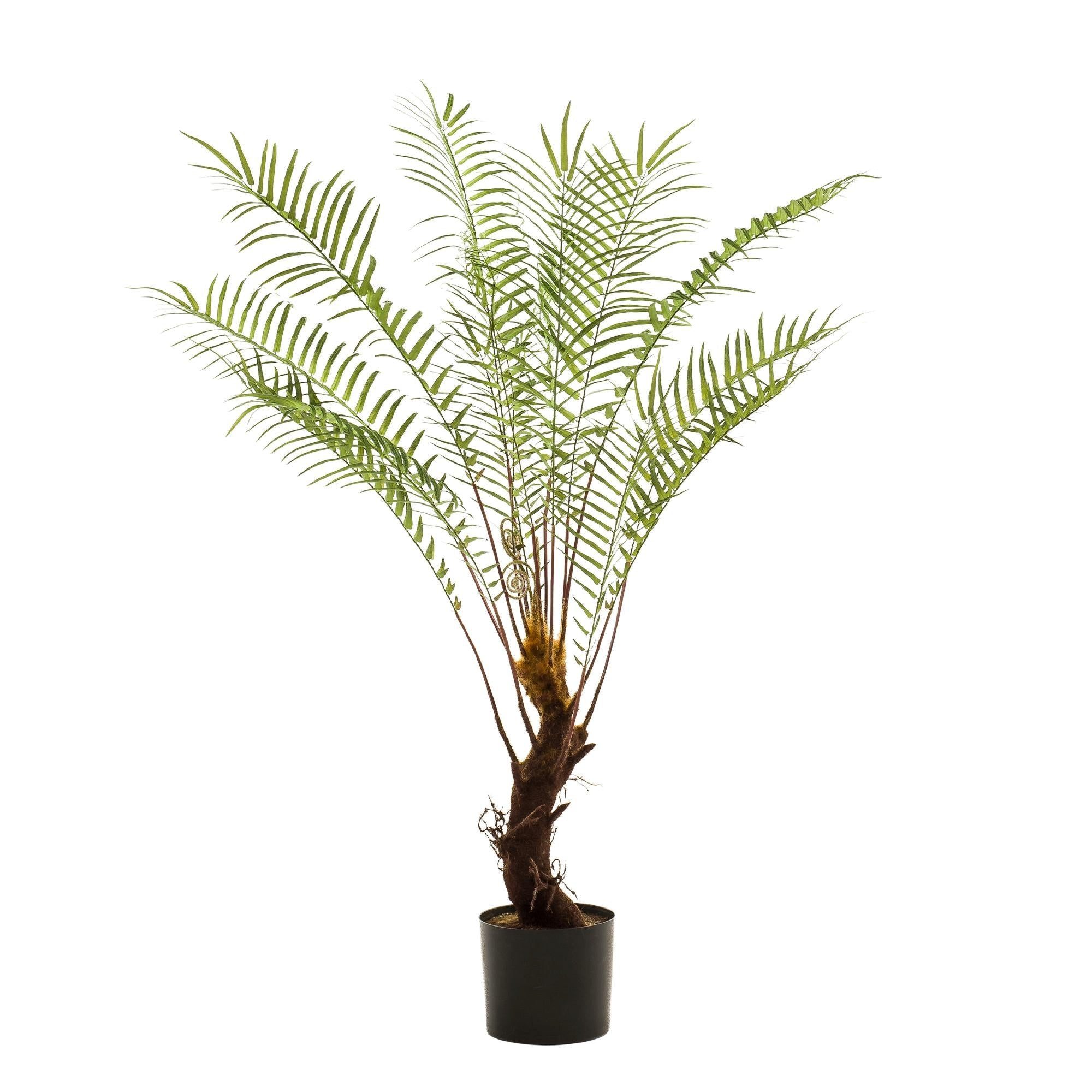 Kunstpflanze Kunstpflanze – Baumfarn – 125 cm – Topf 27 cm Kunstpflanze, Florora, Höhe 125 cm, Täuschend echt, Mit Einsatztopf