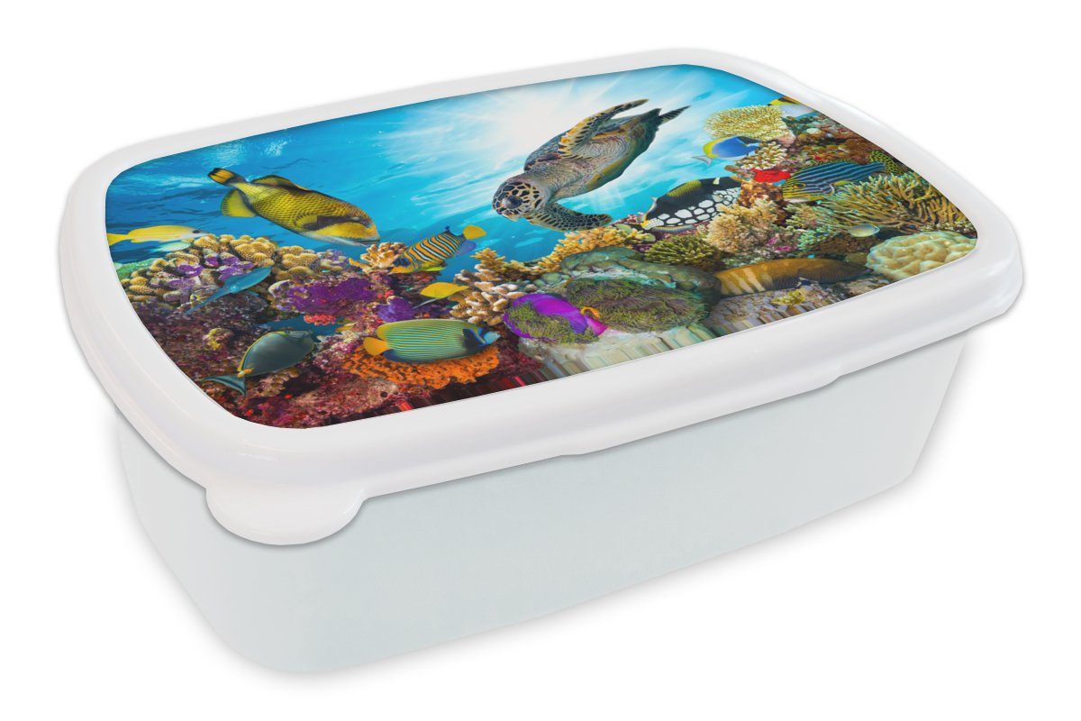 Erwachsene, Brotbox Brotdose, Kinder Schildkröte Meer und - Jungs - für MuchoWow und Kunststoff, weiß Lunchbox Koralle, (2-tlg), für Mädchen