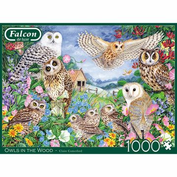 Jumbo Spiele Puzzle Falcon Owls in the Wood 1000 Teile, 1000 Puzzleteile