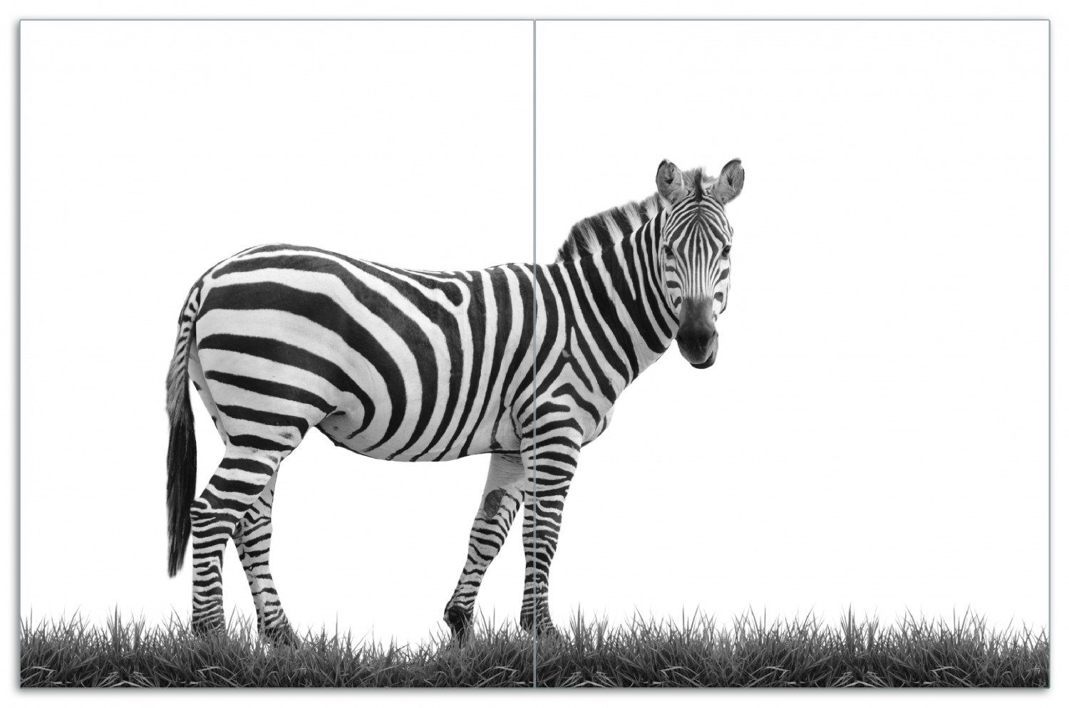 Wallario Herd-Abdeckplatte Zebra im Gras - schwarz weiß, ESG-Sicherheitsglas, (Glasplatte, 2 tlg., inkl. 5mm Noppen), verschiedene Größen