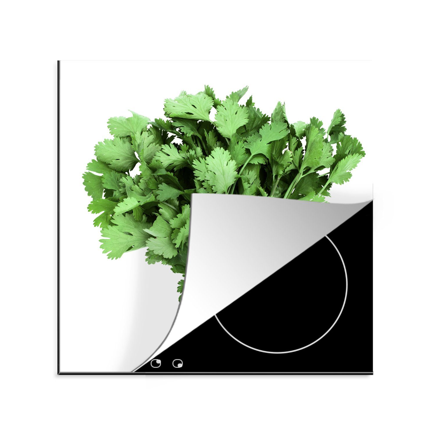 MuchoWow Herdblende-/Abdeckplatte Ein Strauß weißem 78x78 cm, für Vinyl, küche grüner Koriander Hintergrund, (1 vor Ceranfeldabdeckung, tlg), Arbeitsplatte