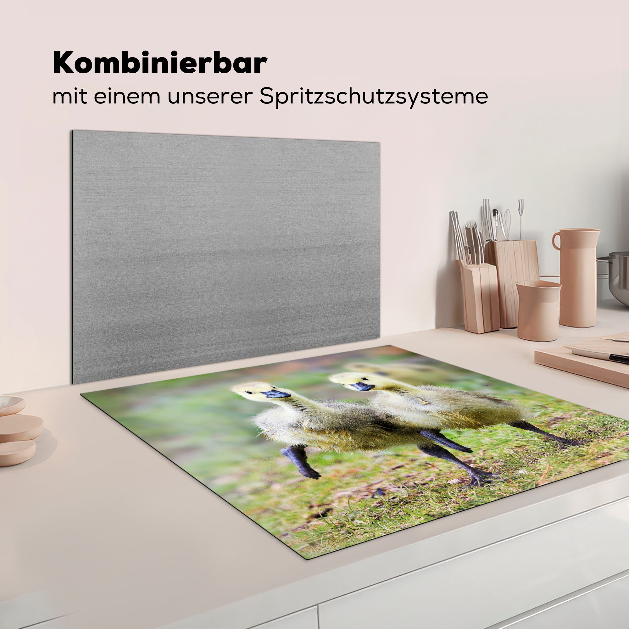 (1 tlg), Gras, Herdblende-/Abdeckplatte küche MuchoWow Vinyl, Küken Ceranfeldabdeckung, cm, für 78x78 - Gans - Arbeitsplatte