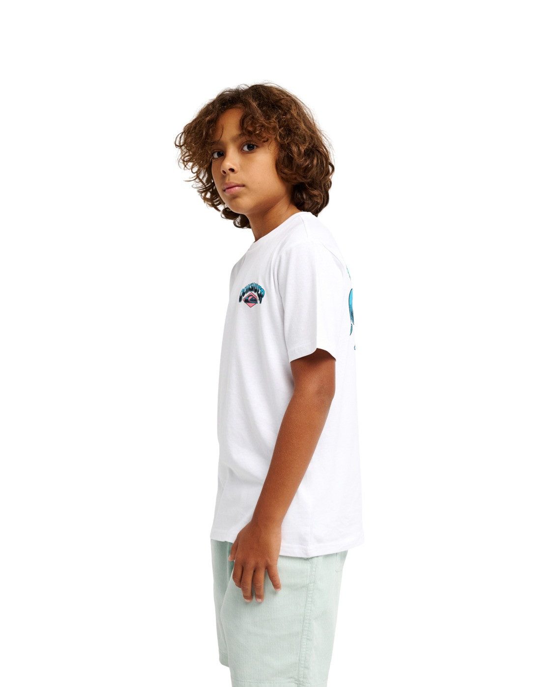 Quiksilver T-Shirt Palm Horizon