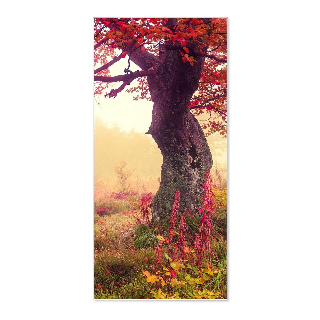 weiß Magnete, banjado 4 Wandtafel Lichtung Herbst, Stahlmagnettafel) (inkl. Stahl Im