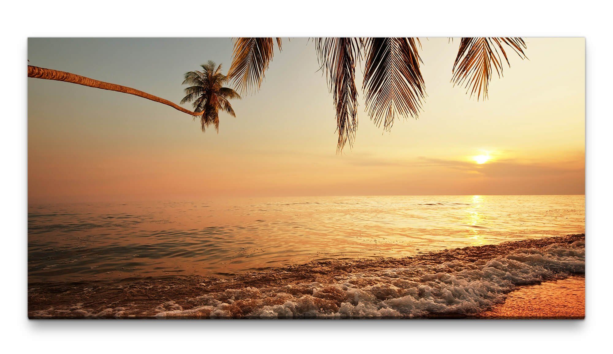 Leinwandbild Bilder XXL Strand mit Palme 50x100cm Wandbild auf Leinwand