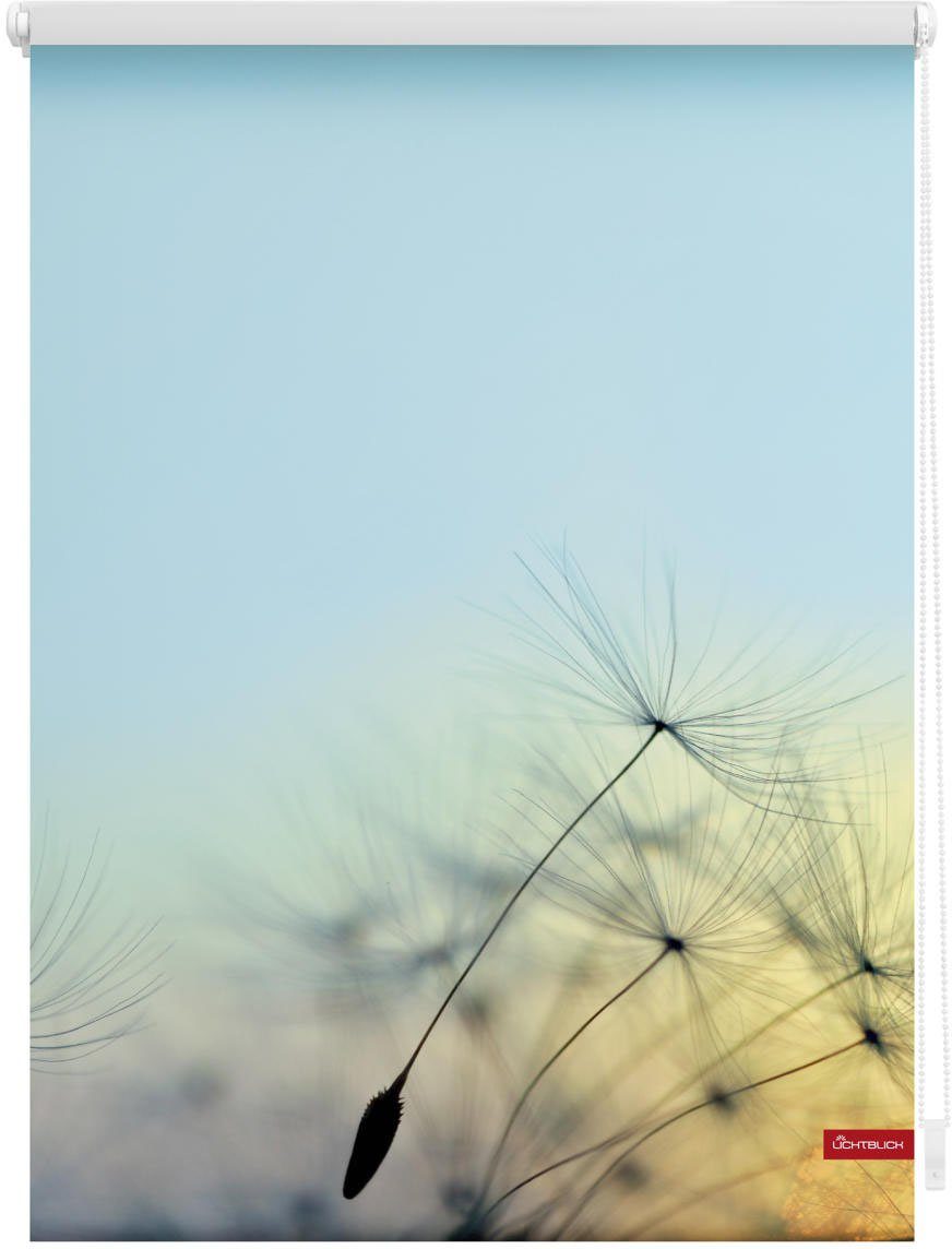 Seitenzugrollo Rollo Klemmfix, ohne Bohren, Verdunkelung, Pusteblume - Blau, LICHTBLICK ORIGINAL, verdunkelnd, freihängend, Klemmfix