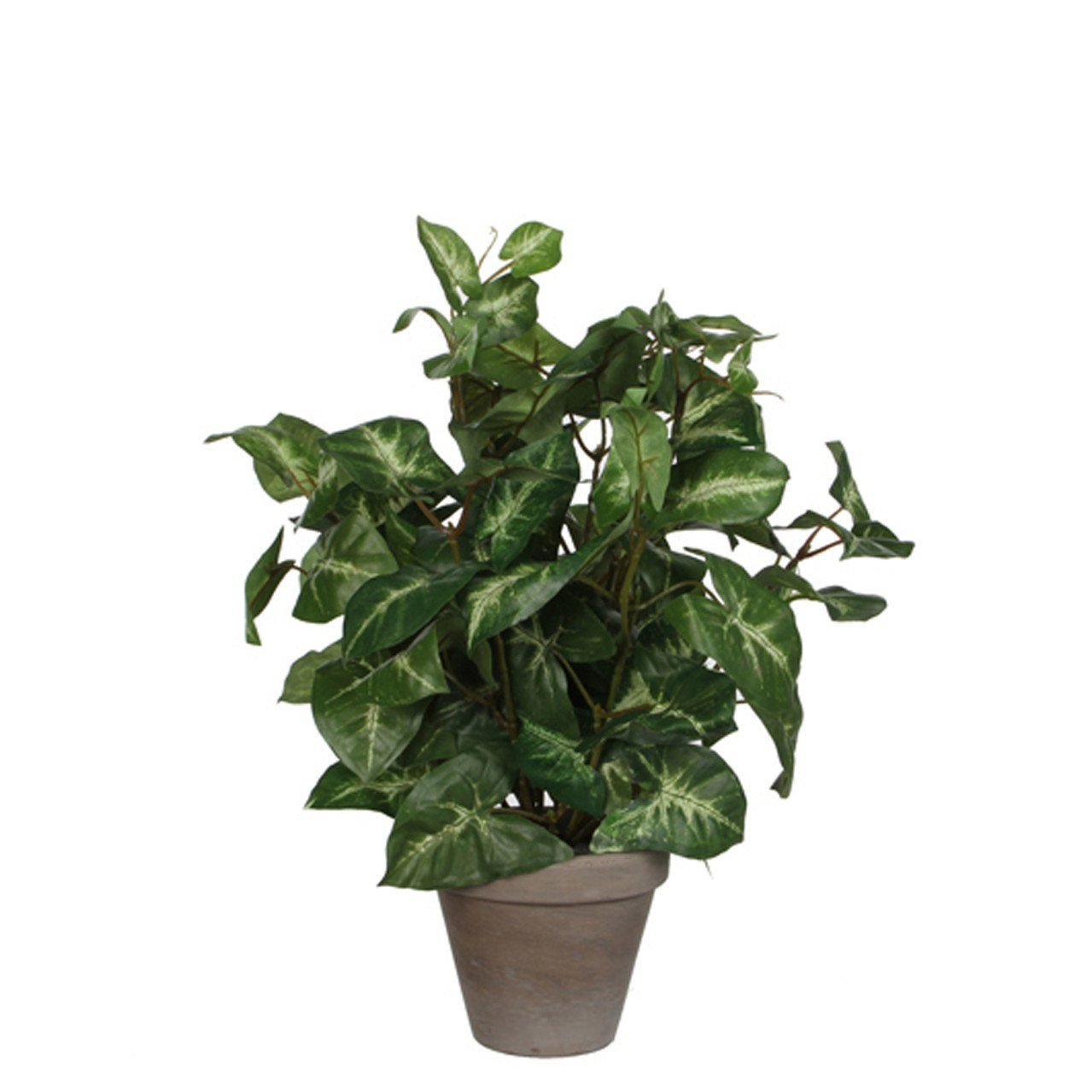 Kunstpflanze Mica Kunstpflanze Syngonium grün im Topf 35 x 25, Mica Decorations