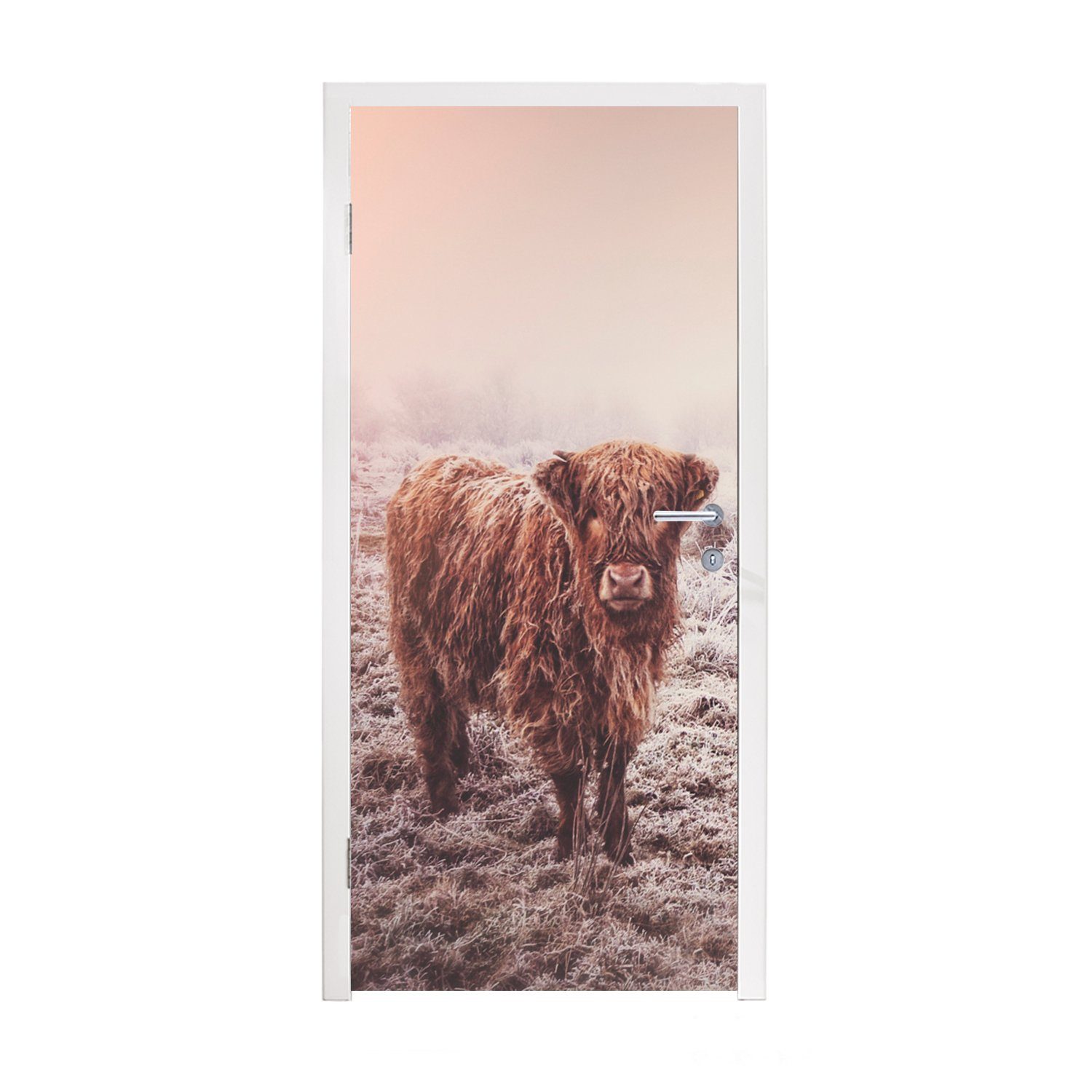 MuchoWow Türtapete Schottische Highlander - Schnee - Sonne, Matt, bedruckt, (1 St), Fototapete für Tür, Türaufkleber, 75x205 cm