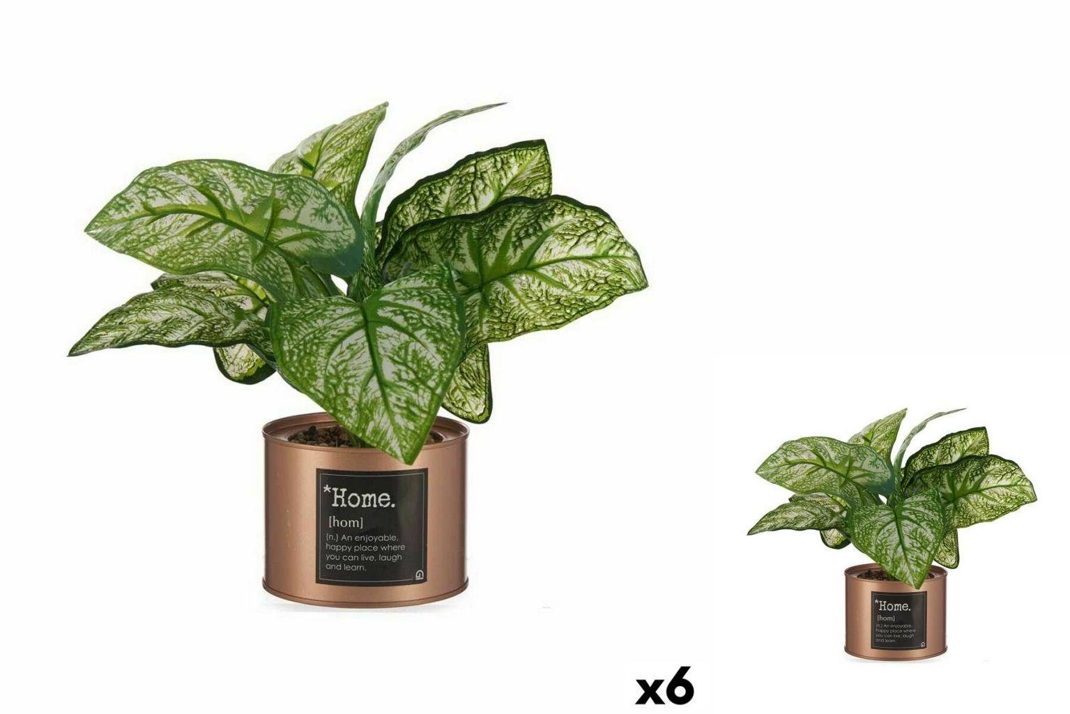 Künstliche Zimmerpflanze Dekorationspflanze Home Kupfer Dose 26 x 26 x 26 cm 6 Stück, Ibergarden, Höhe 26 cm