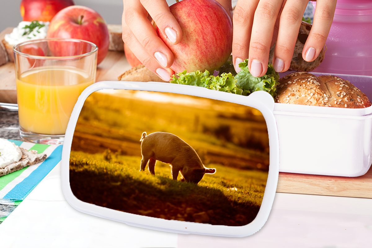 MuchoWow Lunchbox Schwein - (2-tlg), Brotbox Erwachsene, - für Jungs Mädchen und weiß Gras Kinder für Licht, Kunststoff, und Brotdose
