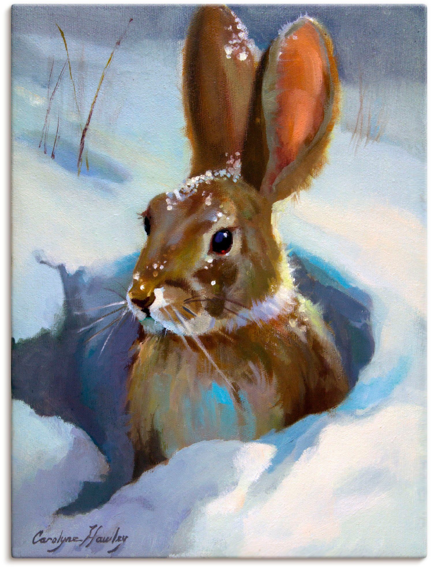 Artland Leinwandbild Schneehase, Wildtiere (1 St), auf Holzrahmen gespannt
