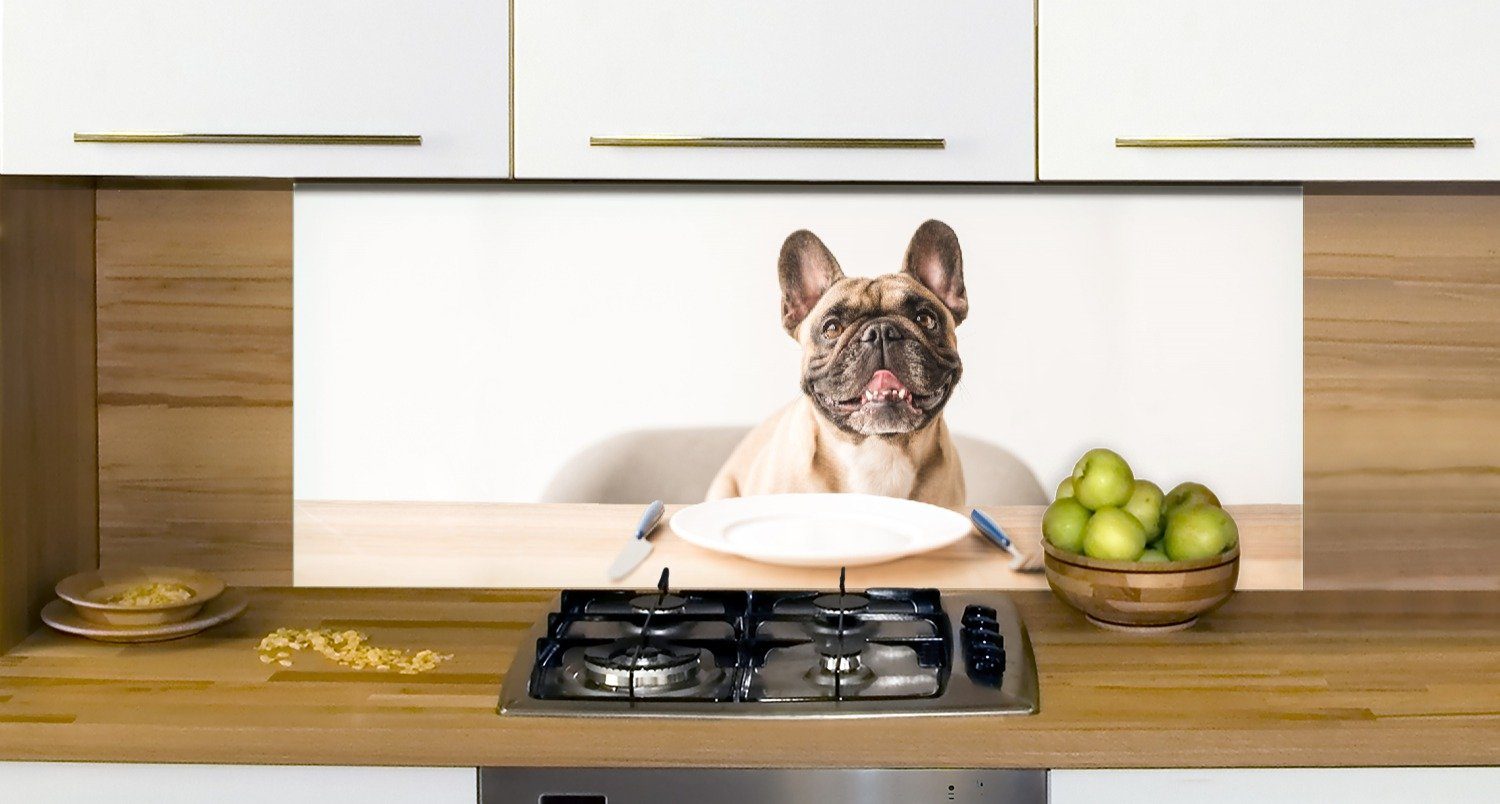 Wallario Essen, sich Küchenrückwand (1-tlg) freut auf Hund