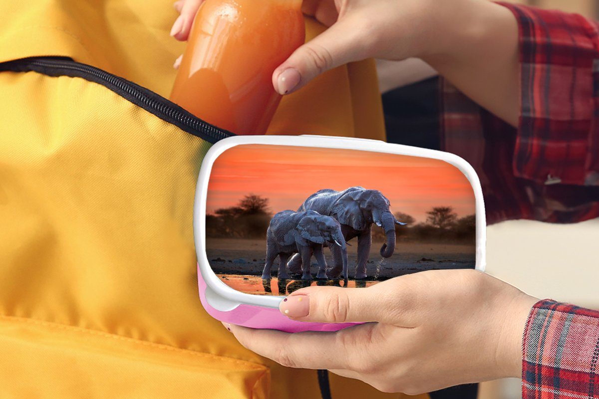 Elefant Tiere Erwachsene, rosa Snackbox, Kunststoff, Orange, Brotbox - Lunchbox Mädchen, Sonnenuntergang Kinder, (2-tlg), - MuchoWow - Kunststoff - Brotdose für Wasser