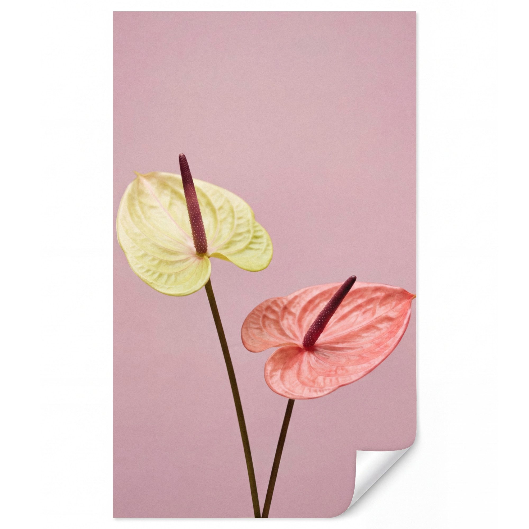OnlyWow Fototapete Blumen - Anthurien - Gelb - Rosa, Matt, bedruckt, Modern, bedruckt, Wohnzimmer, Wandtapete 120x200cm