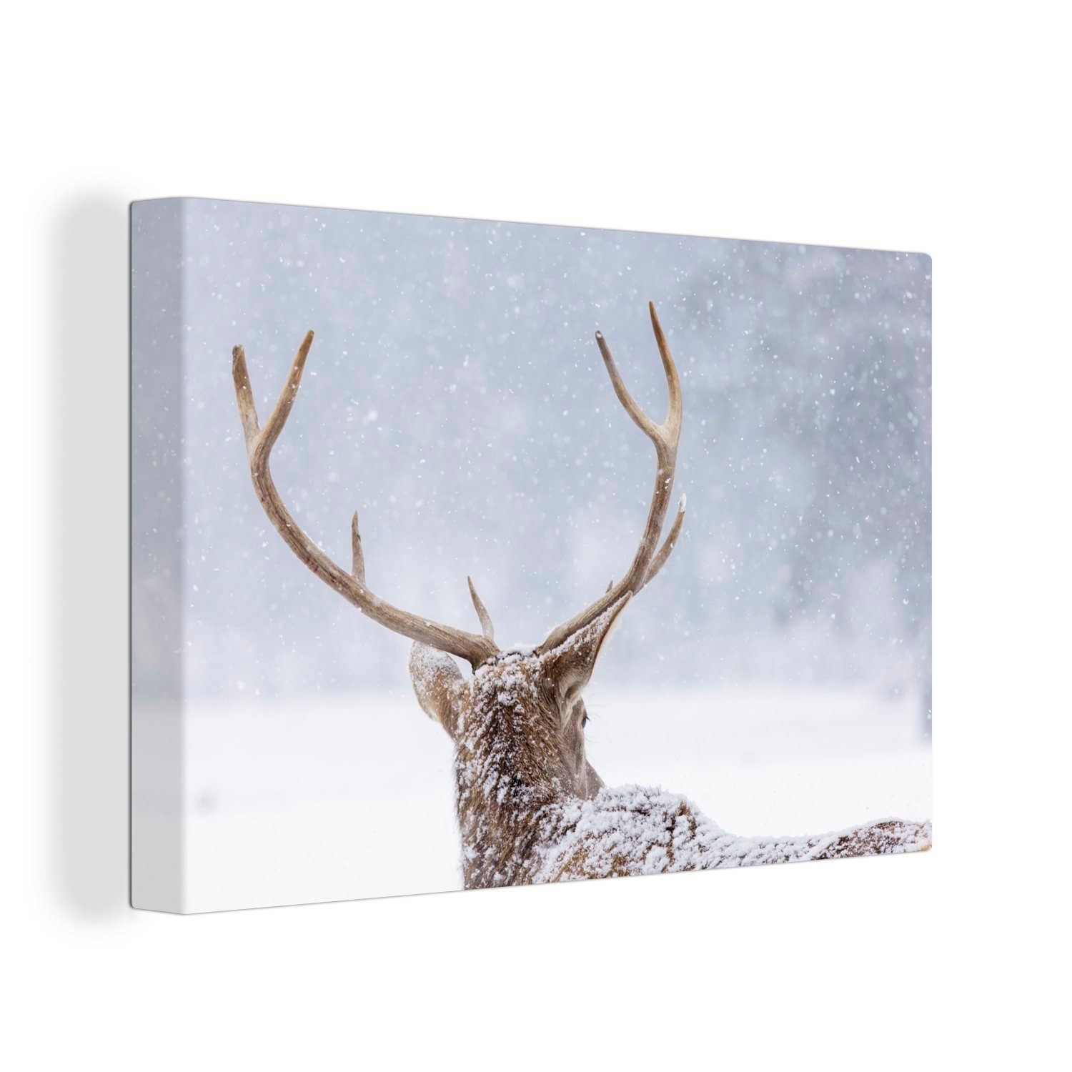 OneMillionCanvasses® Leinwandbild Hirsche - Geweihe - Schnee - Winter, (1 St), Wandbild für alle Wohnbereiche, Gemälde, XXL, großes, 120x80 cm