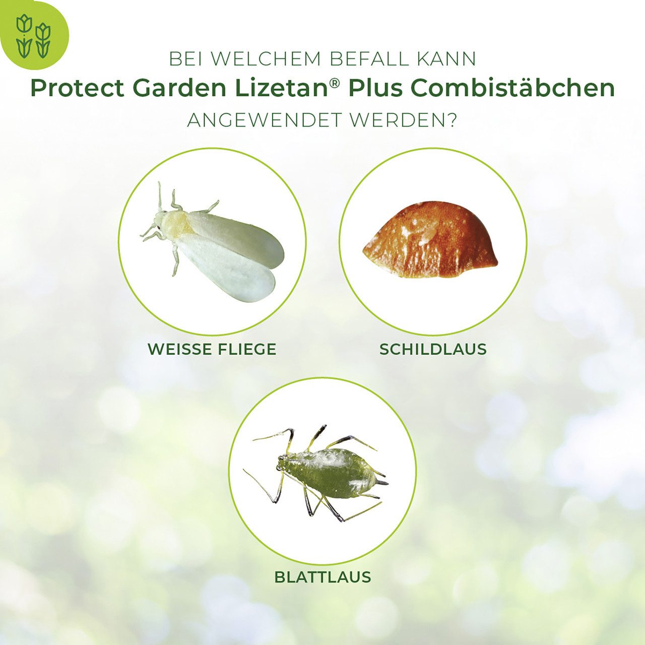 PROTECT Blumendünger Protect Garden Lizetan Plus Combistäbchen 20 Stück – Bild 2 von 5