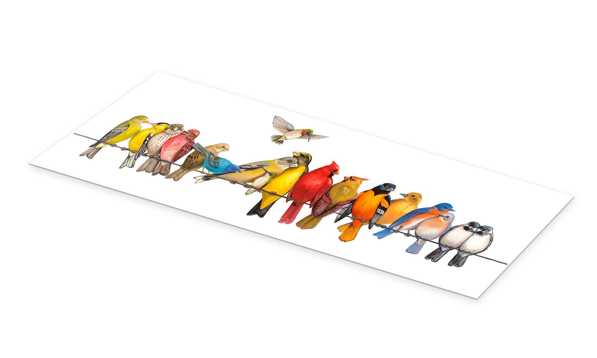 Posterlounge Wandbild Große Vogelmenagerie I, Wendy Russell, erhältlich als Poster, Leinwandbild, Wandsticker oder Acrylglasbild