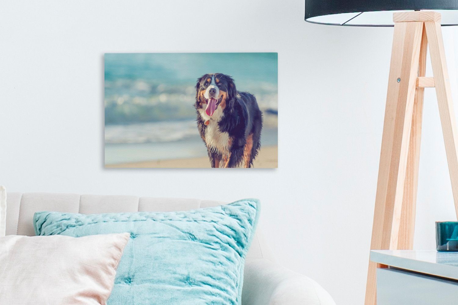 OneMillionCanvasses® Leinwandbild Ein Berner Sennenhund cm St), am Spaziergang Wandbild beim Strand, Leinwandbilder, 30x20 (1 Aufhängefertig, Wanddeko