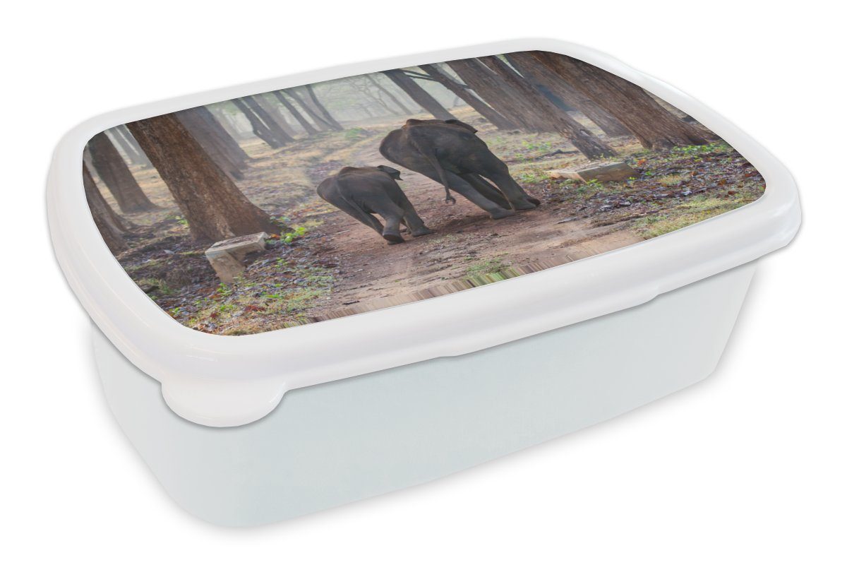 MuchoWow Lunchbox Elefant - Kalb - Wald, Kunststoff, (2-tlg), Brotbox für Kinder und Erwachsene, Brotdose, für Jungs und Mädchen weiß